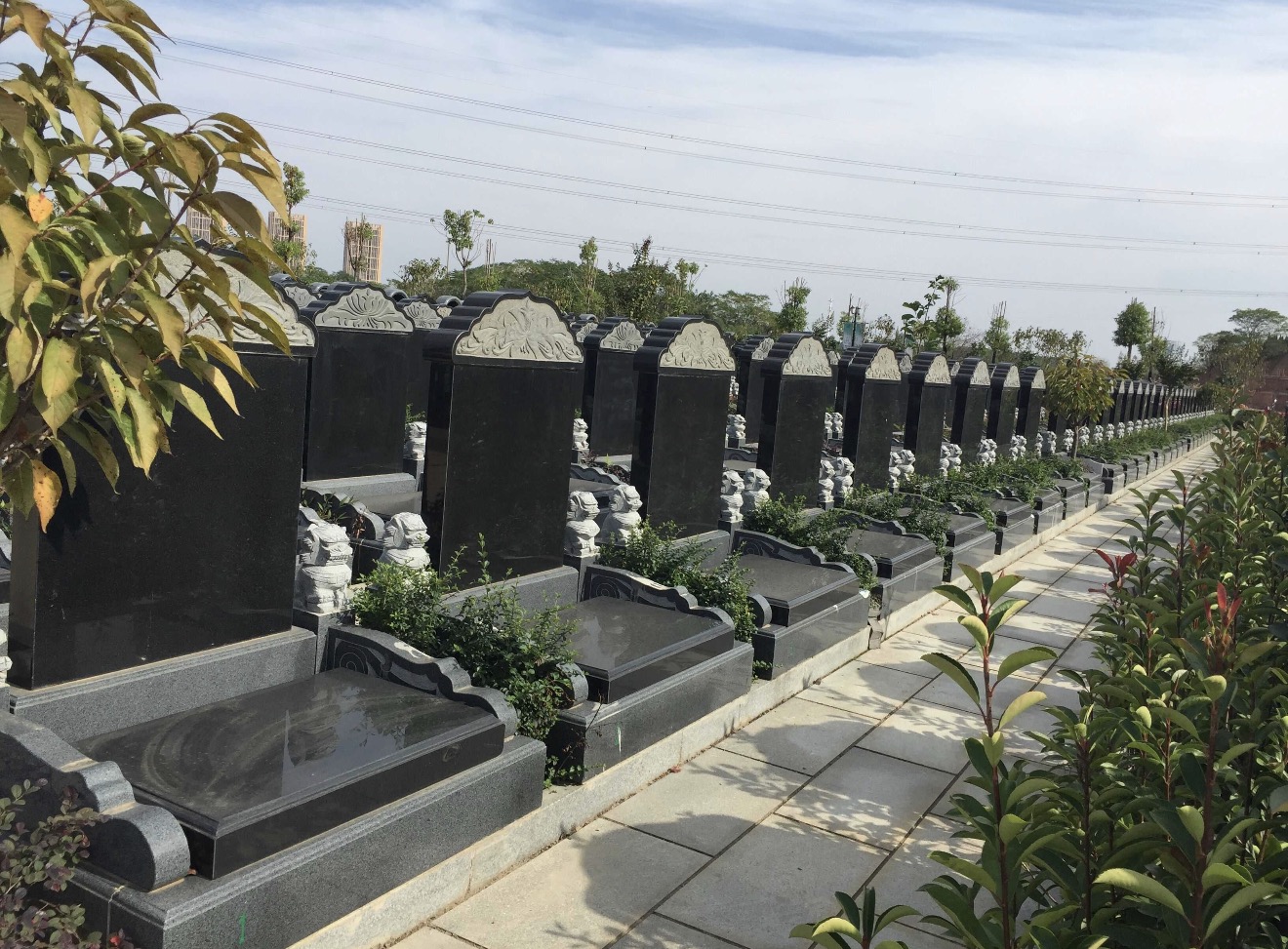 2026年武昌本地白事关怀服务 专业透明可供参考