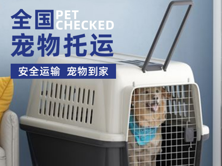 2026年小猫托运公司怎么选 靠谱服务选择参考指引
