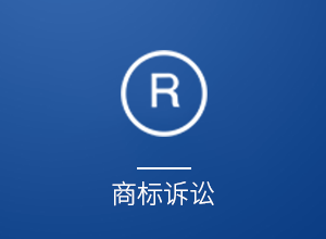 2026年湖南商标侵权案件纠纷选专业法律服务团队