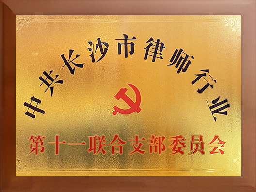 2026年湖南版权律师寻找专业服务 可参考本地专业律所