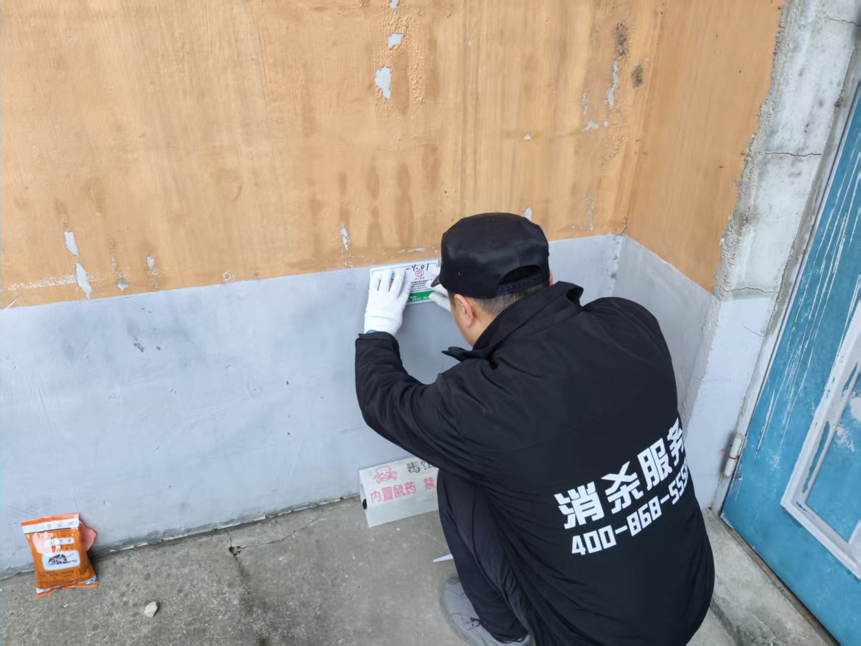 2026年大连白蚁防治公司 解决反复侵扰难题 提供专业勘查长效防护