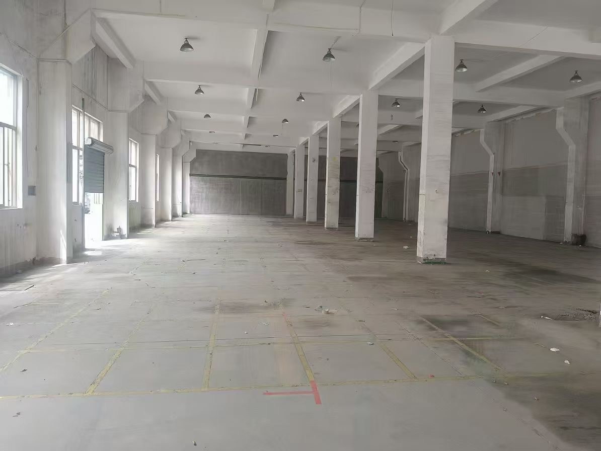 2026年上海4s店园区招商 适配新能源业态 专业场地可供选择