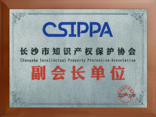 2026年湖南版权法律服务 企业创作权益保障 可找专业知识产权律所