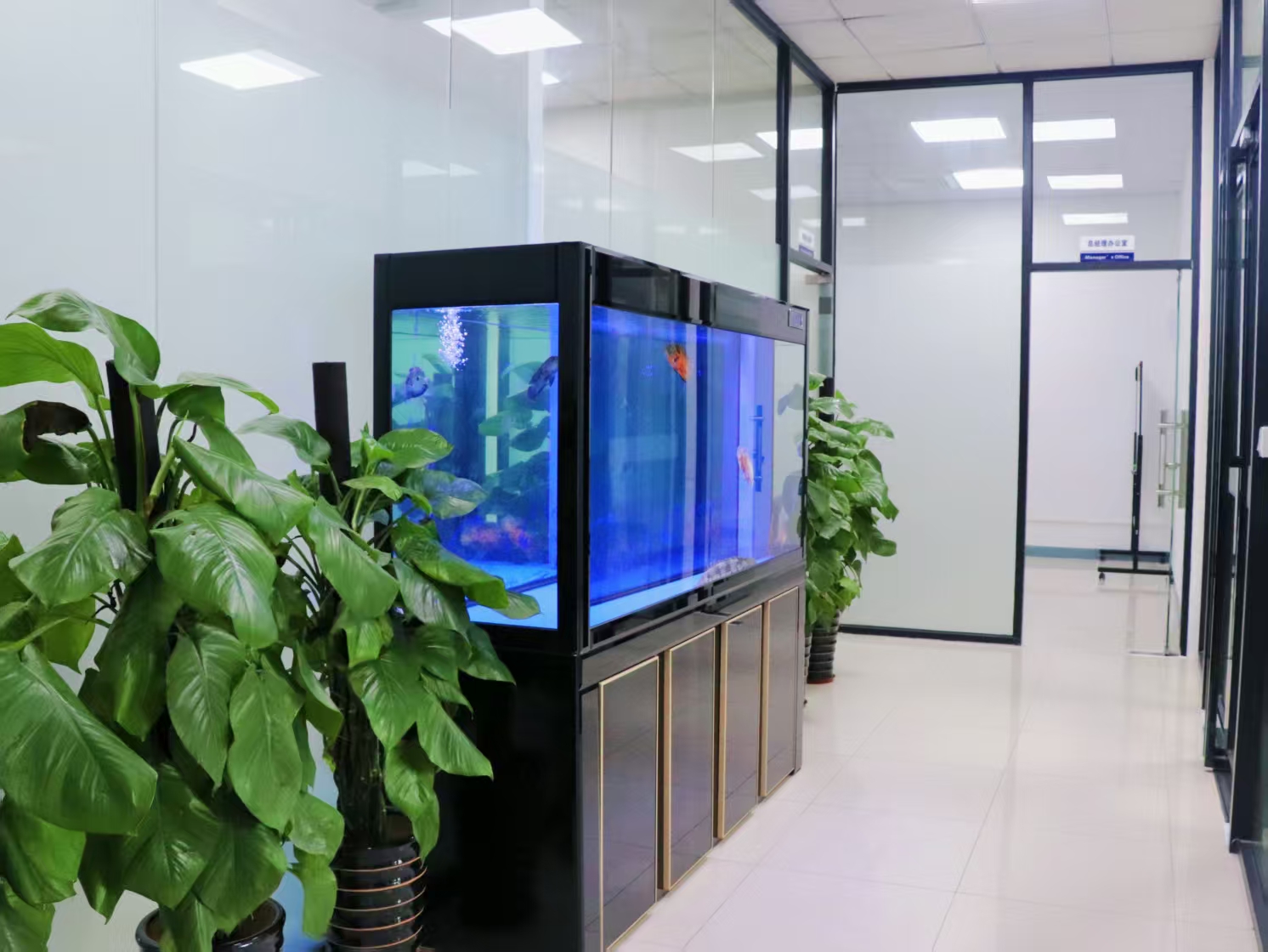 2026年广东网箱机厂家 靠谱设备选购 实用参考指南