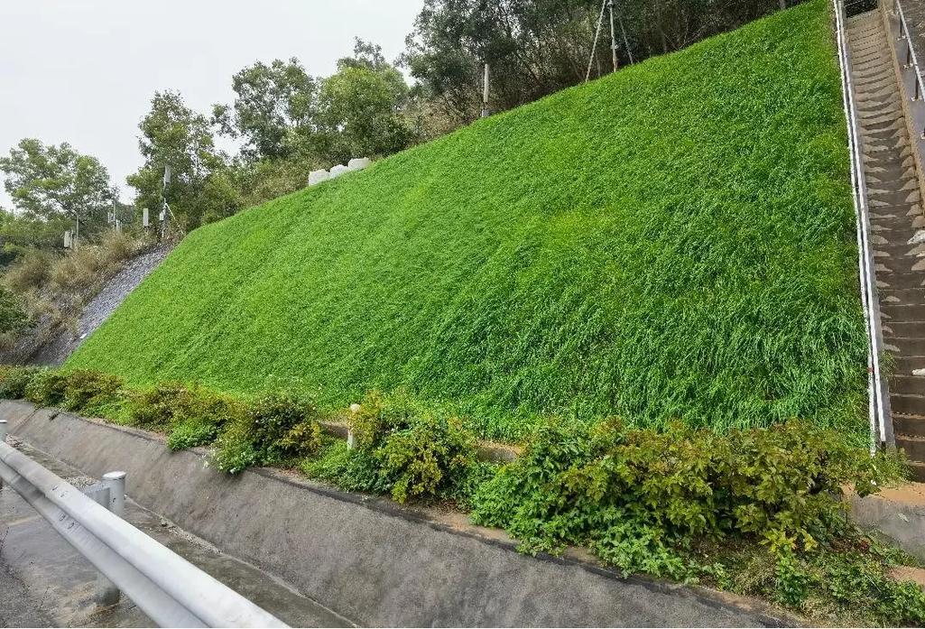 2026年河北矿山复绿工程 靠谱施工厂家选择参考