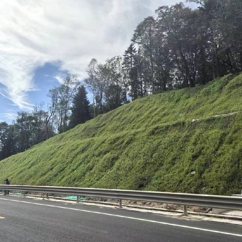 2026年河北高速公路边坡绿化 高性价比合作方案参考