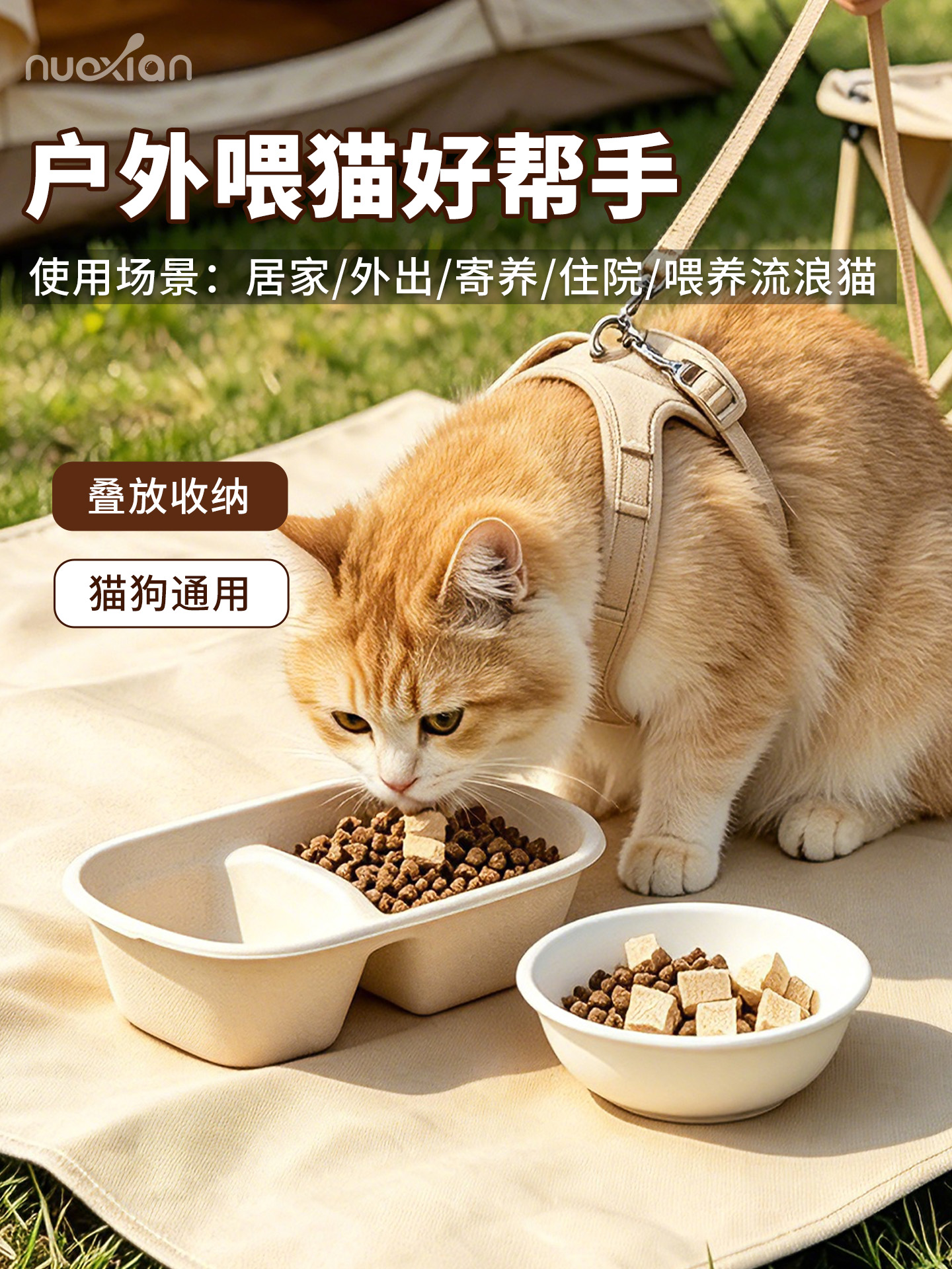 2026年国内可降解纸浆餐具选品难 精选靠谱厂家推荐