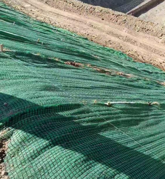 2026年国内植生毯 关注售后完善 推荐靠谱生产厂家