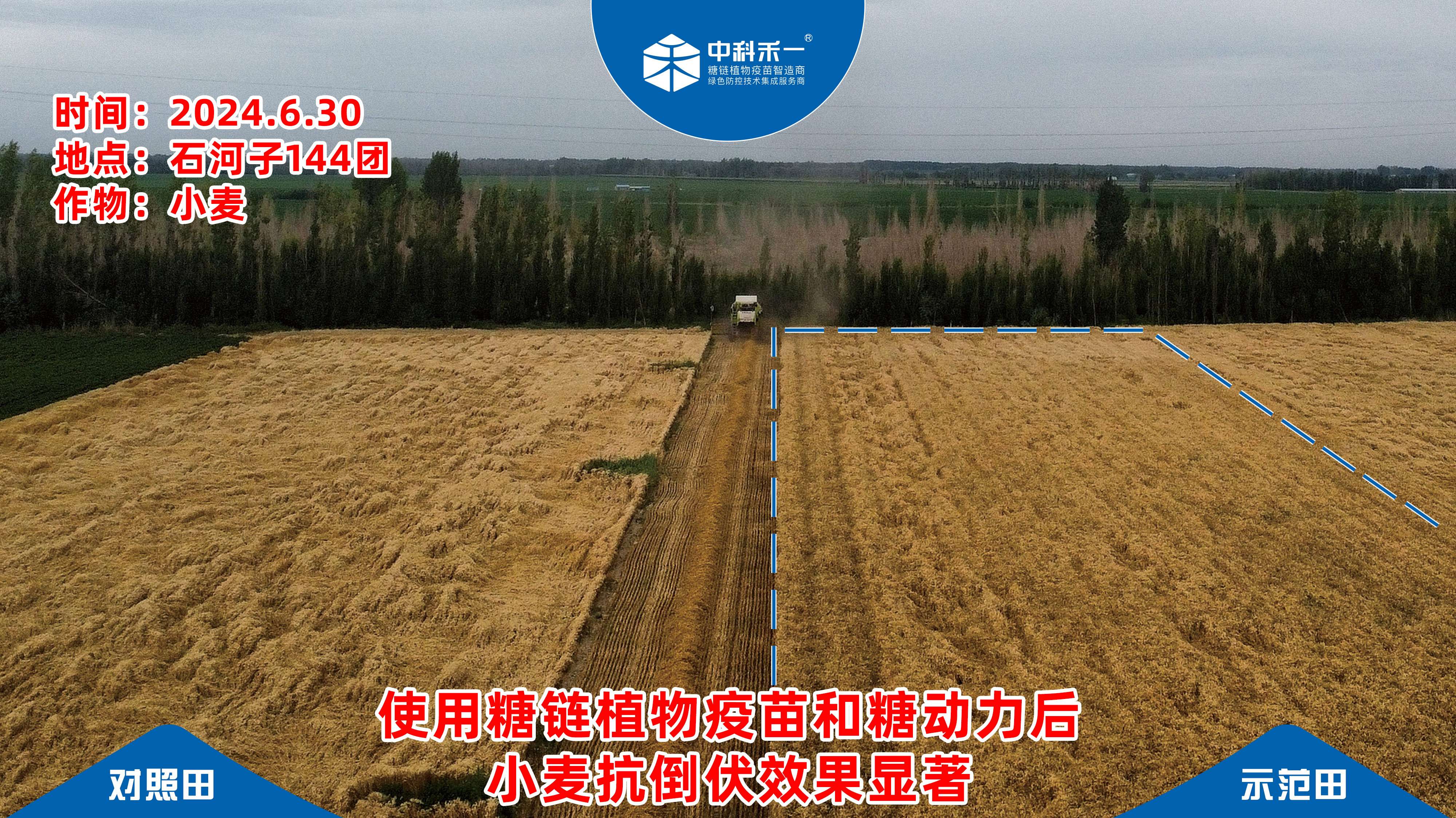 2026年大连抗逆生物刺激素厂家 价格透明选购参考