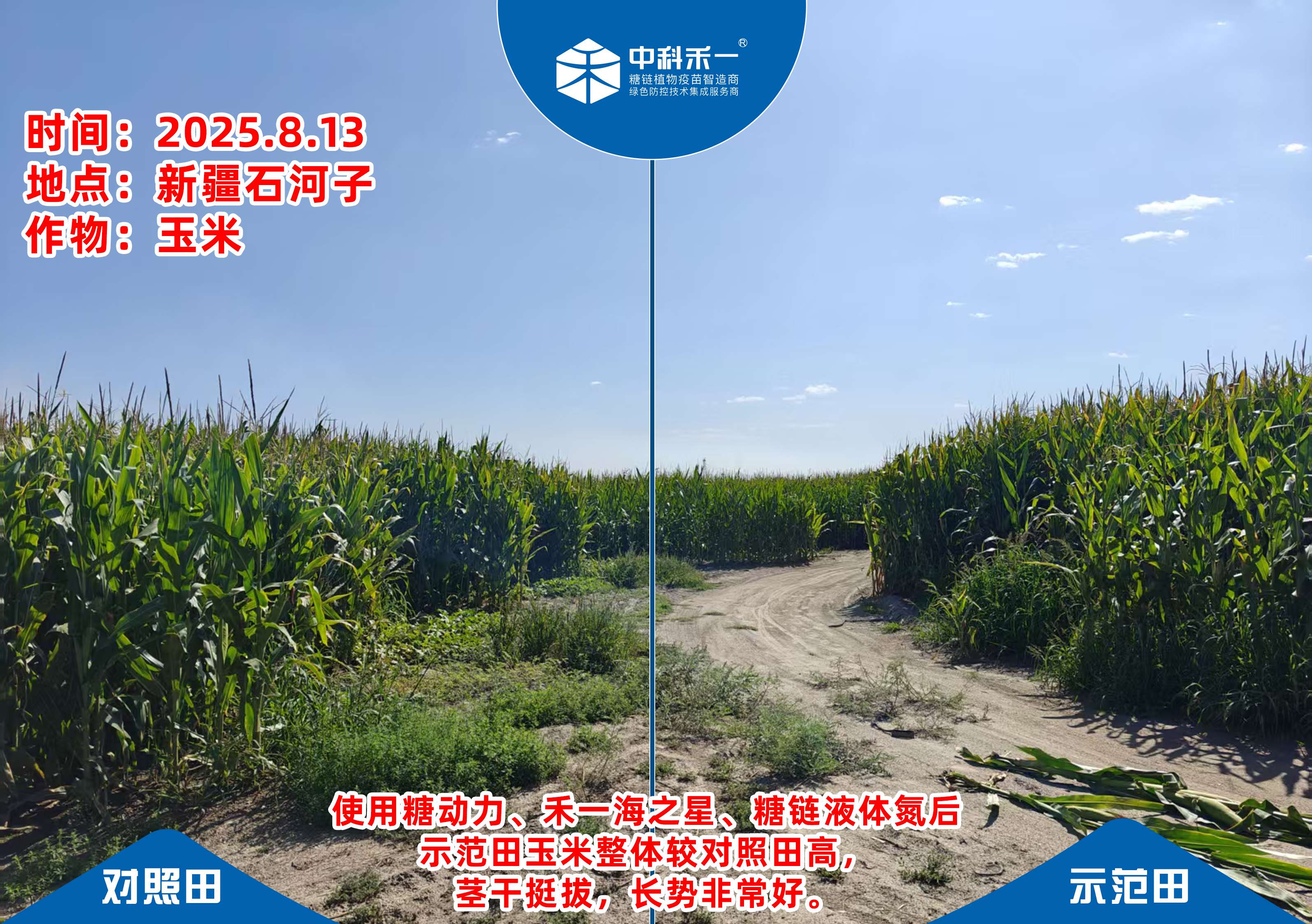 2026年辽宁寡糖厂家选购 靠谱服务相关参考指南