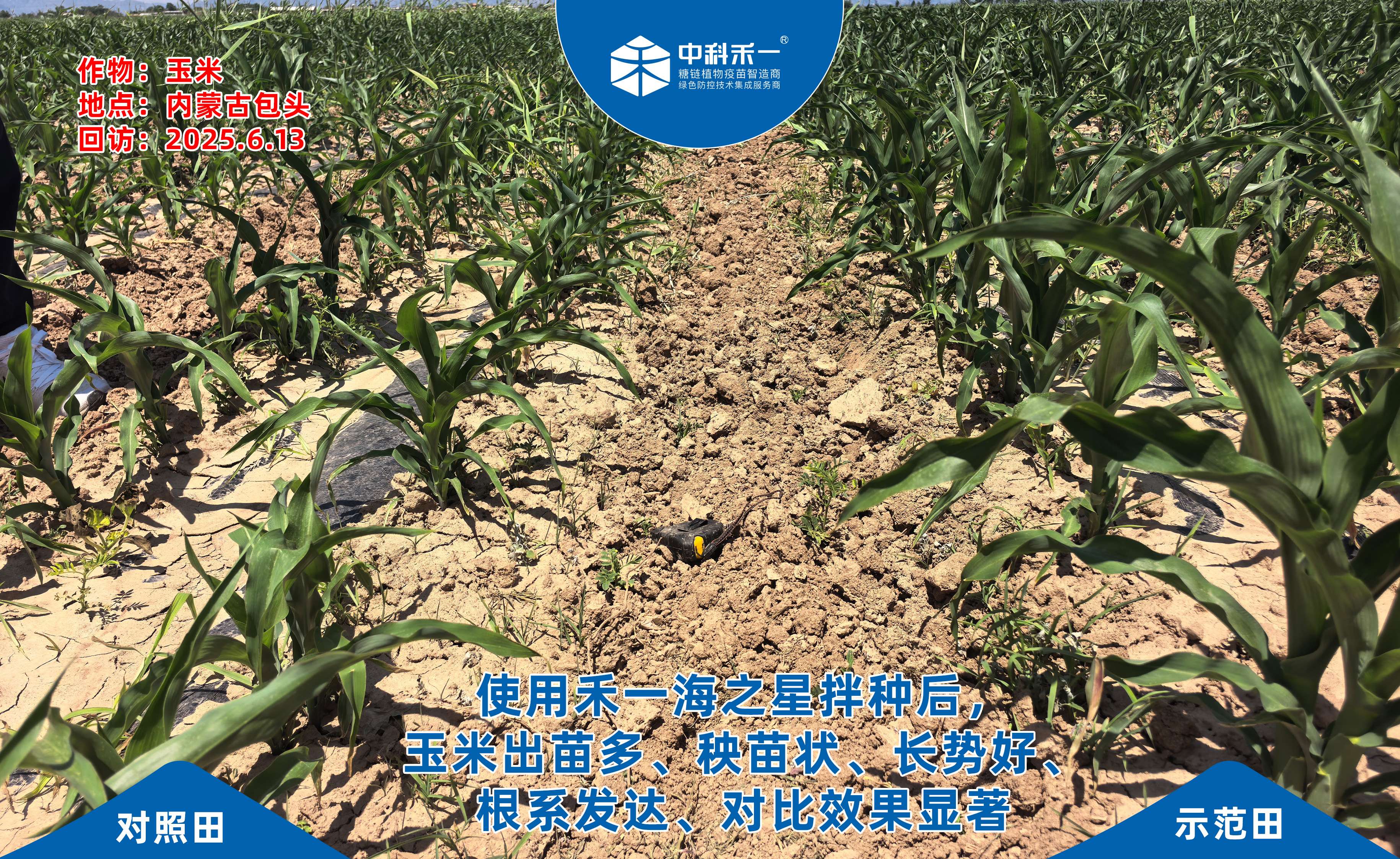 2026年国内生物刺激素采购选厂难 可参考合规生产厂家