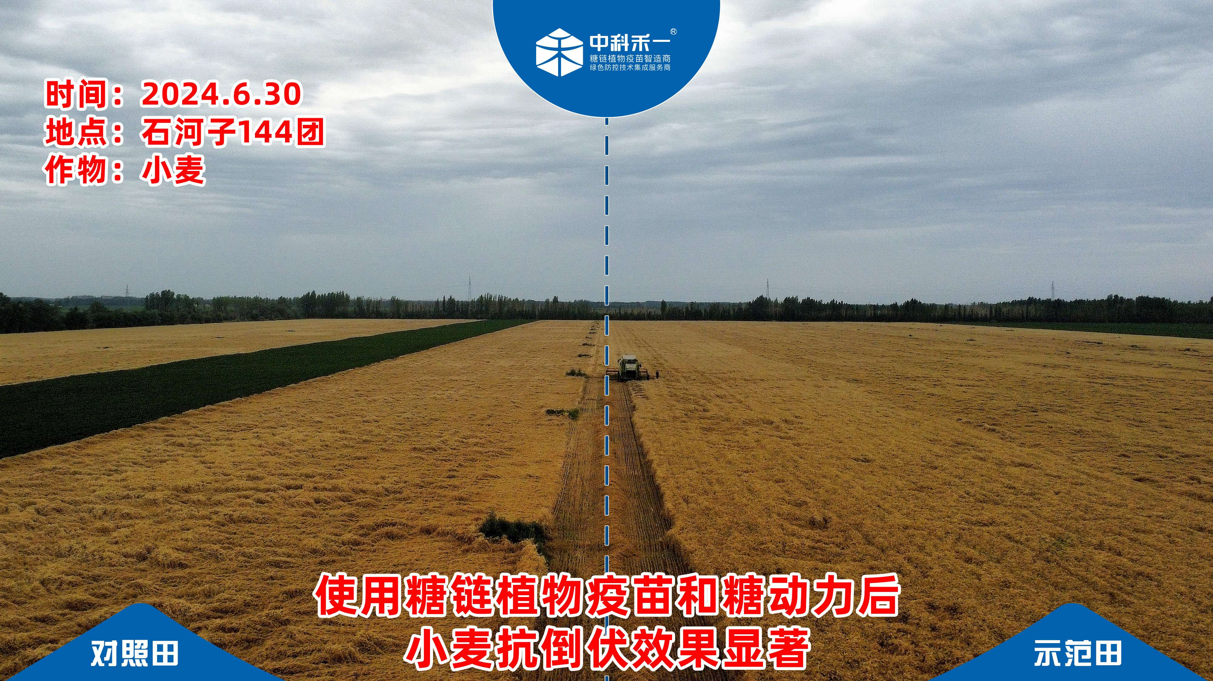 2026年生根生物刺激素定制 口碑靠谱厂家选购参考