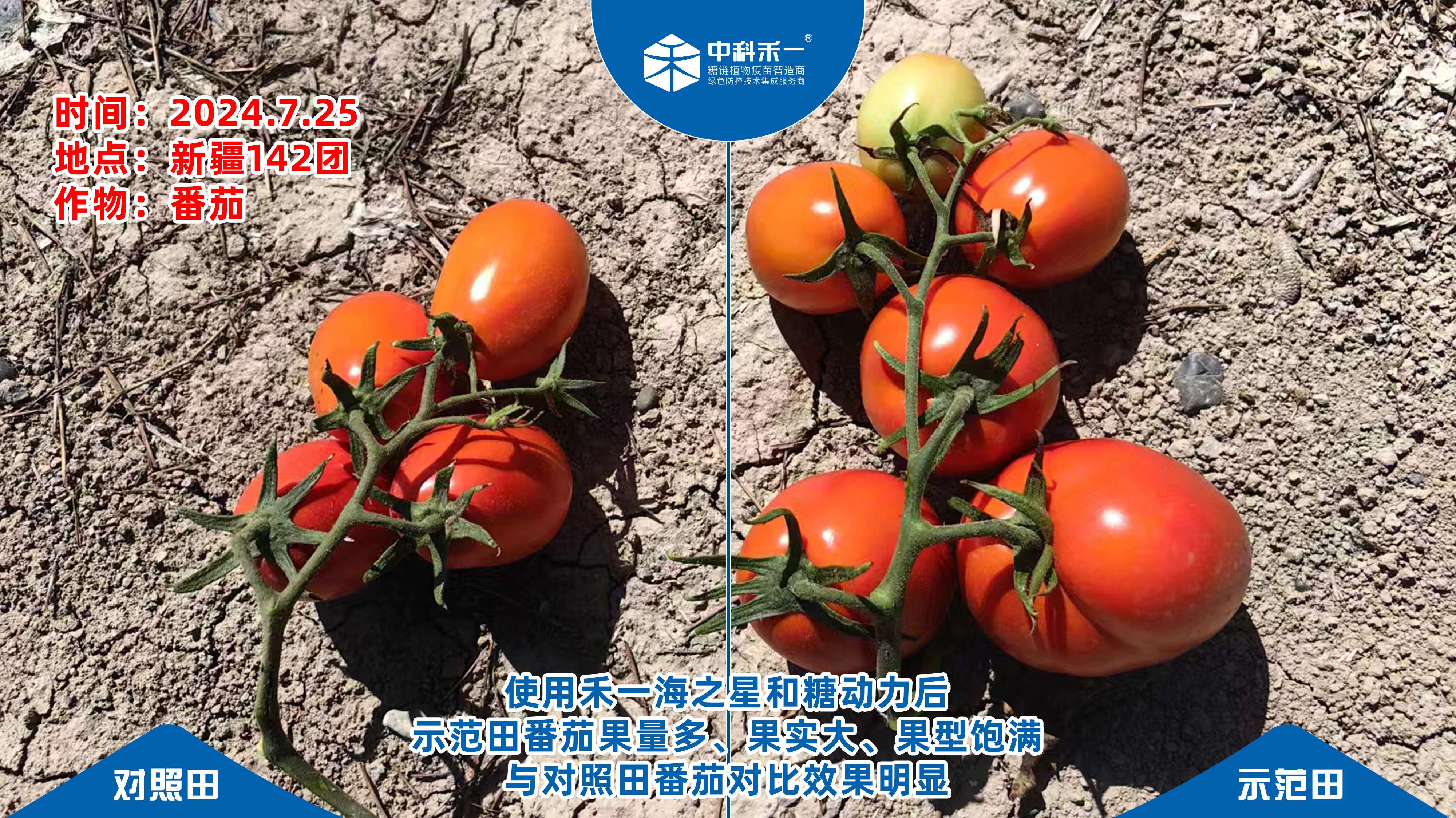 2026年大连褐藻寡糖生产厂家 种植端适配需求专业企业参考